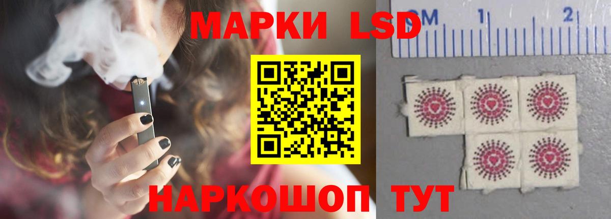 Бердск  ЛСД экстази ecstasy    ТОР  Вход с VPN  ЛСД экстази кислота 